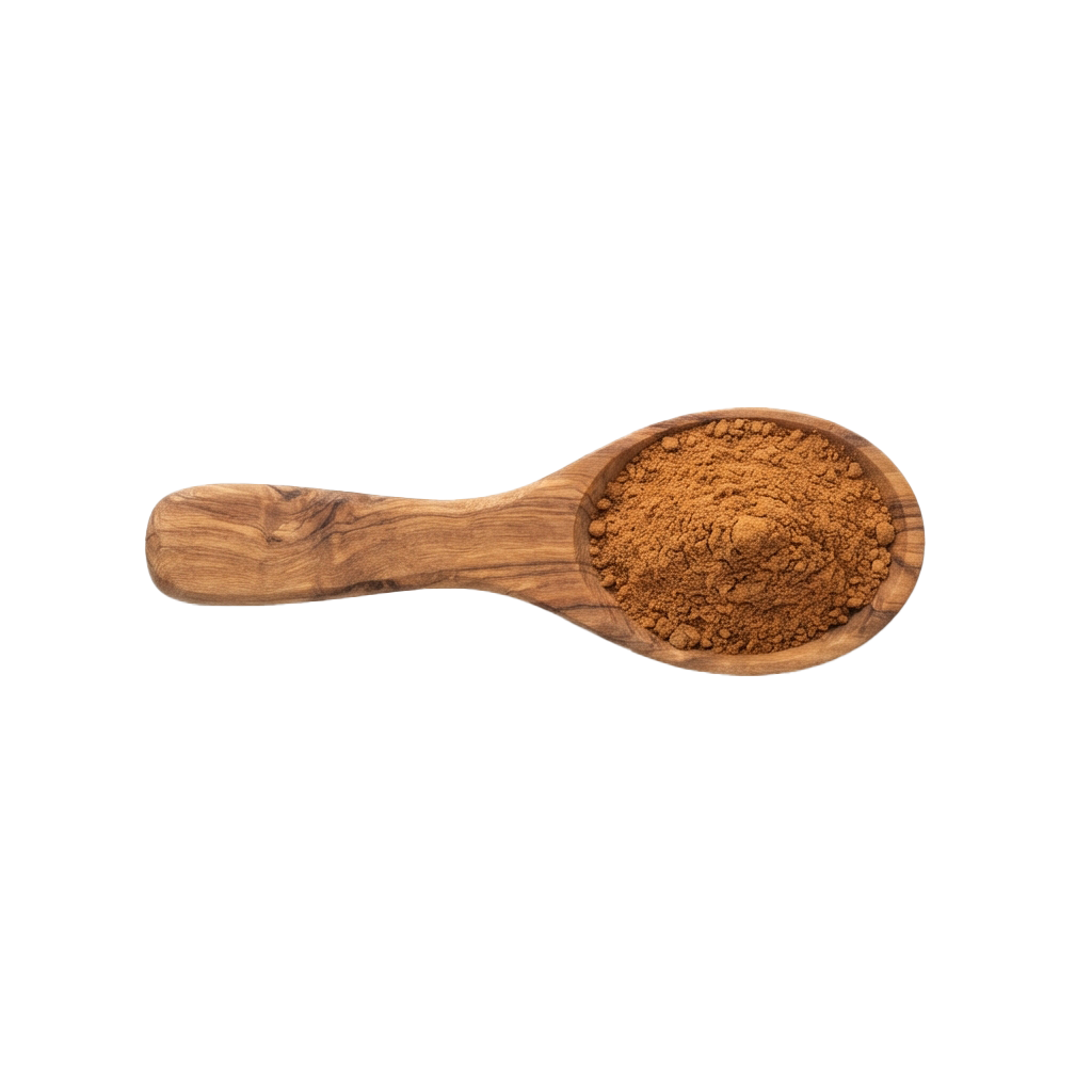 A wooden spoon holding a brown powdery spice blend against a dark background